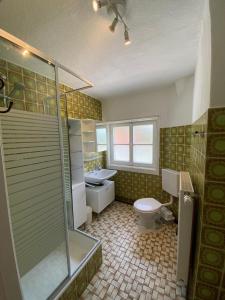 W łazience znajduje się prysznic, toaleta i umywalka. w obiekcie Forsthaus Reit im Winkl w mieście Reit im Winkl