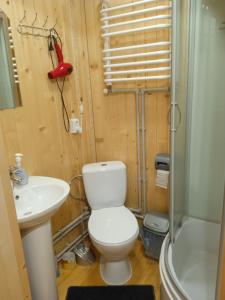 ein Bad mit einem WC, einem Waschbecken und einer Dusche in der Unterkunft Смерека in Mykulytschyn