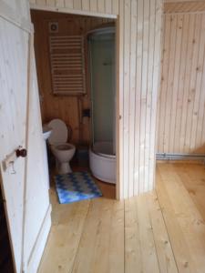 uma casa de banho com um WC e uma cabina de duche ao nível do chão em Смерека em Mykulychyn