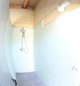 a bathroom with a shower with blue tiles at O Refuxio de la Jerezana in Redondela