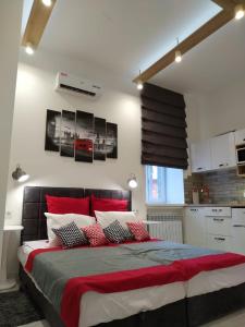 a bedroom with a large bed with red pillows at Apartment for rent in the city center of Kharkiv K18 Elinaflats in Kharkiv