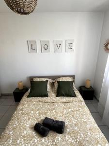 um quarto com uma cama com duas almofadas em Le lac du pigeonnier em Colomiers