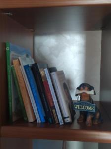 a book shelf with books and a toy on it at Villetta di montagna in Foza