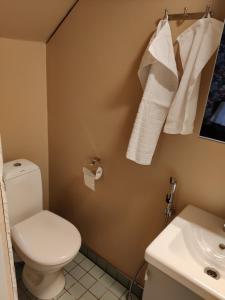 コトカにあるGuesthouse Lokinlauluのバスルーム(トイレ、洗面台、タオル付)