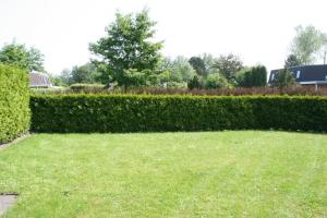 En have udenfor Liguster 42* + 4 billeder