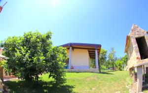 a small house with a tree in the yard at O Refuxio de la Jerezana in Redondela