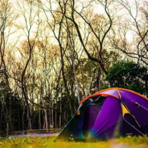 una tenda viola seduta sull'erba vicino agli alberi di Okegiga Homes Majuli a Majuli