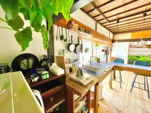 a kitchen with a large green plant hanging from the ceiling at vintagehouse1925Bali - Vacation STAY 14502 in Nagano