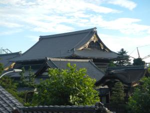 京都赤塔旅馆的一座建筑的顶部有黑色的屋顶