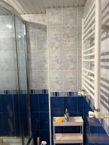 een blauw betegelde badkamer met een douche en een wastafel bij Malibui aygi in Jerevan