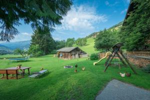 a group of chickens walking around a park with a playground at Bauernhof Auhof in Wagrain