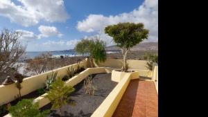 a garden with a view of a beach with a tree at Apartment Punta di Mare Punta Mujeres By PVL in Punta de Mujeres