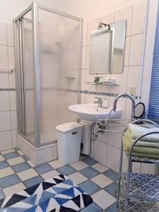 uma casa de banho com um chuveiro e um lavatório. em Ferienwohnung Prinz em Lindlar