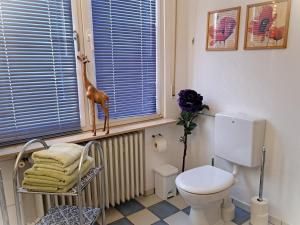 a bathroom with a toilet and a window and a radiator at Ferienwohnung Prinz in Lindlar