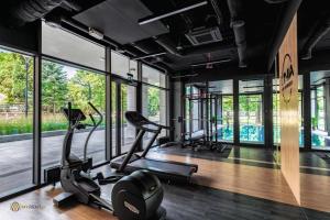 - une salle de sport avec des tapis roulants, des vélos elliptiques et des fenêtres dans l'établissement UNIA ART Apartament 61 - BASEN, SPA, à Lublin