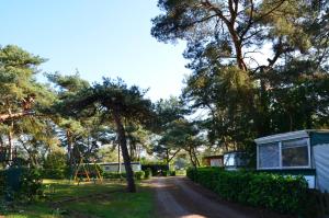 Safaritent at Camping GT Keiheuvel外面的花园