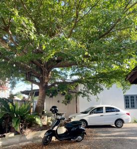una motocicleta estacionada junto a un coche blanco bajo un árbol en Hj Hassan Guest House- Studio Unit, en Kuala Terengganu
