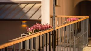 uma varanda com flores roxas num corrimão em Hotel Golden Key Prague Castle em Praga