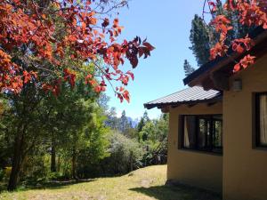 un arbre à feuilles rouges à côté d'une maison dans l'établissement Tu Apart en Bariloche 27, à San Carlos de Bariloche