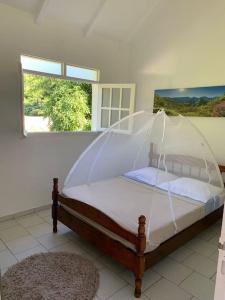 1 cama con dosel en una habitación con ventana en Terrasse des Manguiers : logement indépendant en Pointe-Noire