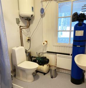bagno con servizi igienici e lavandino di Cozy cottage on a large natural plot in lovely Harjedalen a Vemdalen