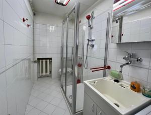 un bagno bianco con lavandino e doccia di Beau Soleil ad Aosta