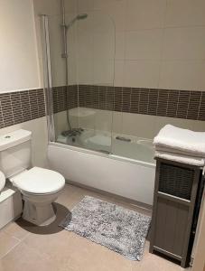 a bathroom with a toilet and a bath tub with a toilet at City Centre Apartment - Sleeps 5 in Nottingham