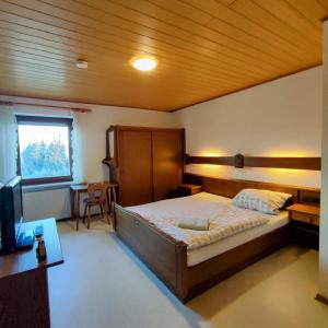 Schlafzimmer mit einem Bett, einem Schreibtisch und einem TV in der Unterkunft Pension Lichtenauer Hof in Thyrnau