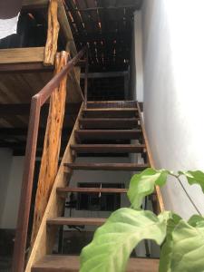 un conjunto de escaleras de madera con una planta verde en Hostel Solar en Mucugê