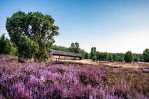 a house in the middle of a field with purple flowers at Camping Sonnenberg in Faßberg
