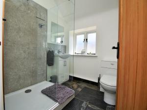 a bathroom with a shower and a toilet and a sink at 2 Bed in Wrexham 76399 in Coedpoeth