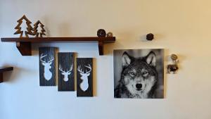 um grupo de fotos de um lobo na parede em Hostdomus - Flowers Residence em Sestriere