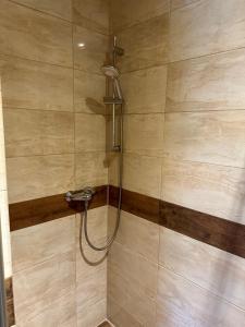 a shower with a shower head in a bathroom at Apartament Wałbrzych in Wałbrzych