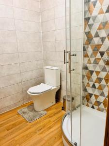 a bathroom with a toilet and a shower at Golden Lemon in Mizhhirya +38 photos