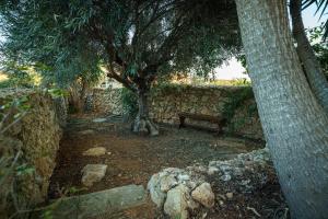 Κήπος έξω από το Amaryllis Holiday Home