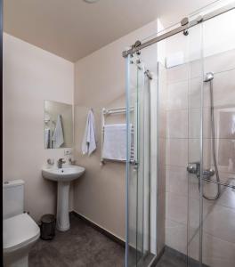 a bathroom with a shower and a toilet and a sink at New Tiflis Apartment Mziuri in Tbilisi City