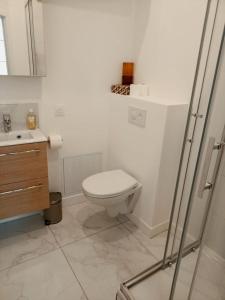 a white bathroom with a toilet and a sink at Yukos-Studio Cosy-(Hypercentre) in Rennes +15 photos