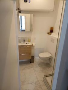 La petite salle de bains est pourvue de toilettes et d'un lavabo. dans l'établissement Yukos-Studio Cosy-(Hypercentre), à Rennes