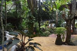 A garden outside Amanwana Ecofinca