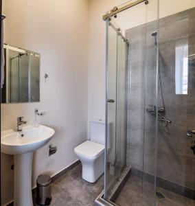 a bathroom with a shower and a toilet and a sink at New Tiflis Apartment Mziuri in Tbilisi City
