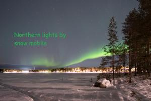 una imagen de la aurora boreal en una molécula de nieve en Jokkmokks Vandrarhem Åsgård, en Jokkmokk