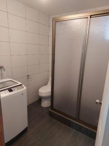 W łazience znajduje się toaleta i przeszklona kabina prysznicowa. w obiekcie Casa Rural Poblado de Acha Arica w mieście Arica