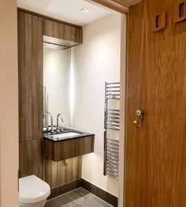 a bathroom with a sink and a toilet at Wood studio flat in London