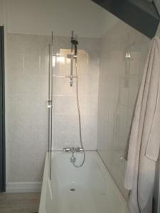 uma casa de banho com um chuveiro e uma banheira em La Mulhousienne de France em Mulhouse