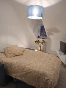 um quarto com uma cama e um candeeiro azul em La Mulhousienne de France em Mulhouse