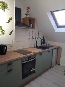 cocina con armarios verdes, fregadero y ventana en La Mulhousienne de France, en Mulhouse