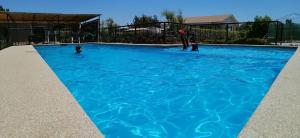 的住宿－Cabañas Rancho Carmelitas, Pullally, localidad agrícola de Papudo，一群人在游泳池里玩飞盘
