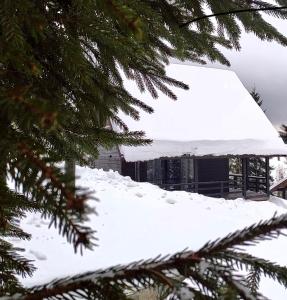 a building covered in snow with a roof at Cottages Shepit Lisu in Rosokhach