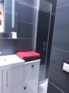 W łazience znajduje się umywalka, prysznic i czerwony ręcznik. w obiekcie PARIS de FLORE Flore w mieście Malakoff