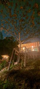 a tree in front of a house at night at Kuyana Glamping in Cali